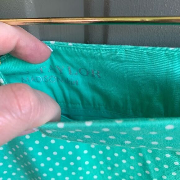 Ann Taylor LOFT Madison Mint Green With Polka Dot Size 6 Skirt - Picture 4 of 4